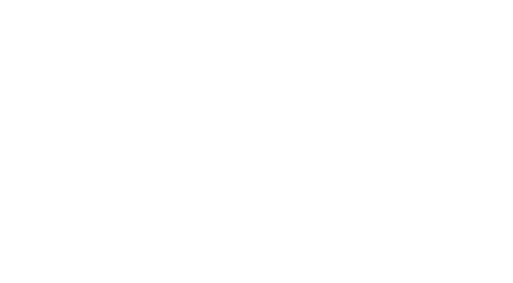Faes_Farma