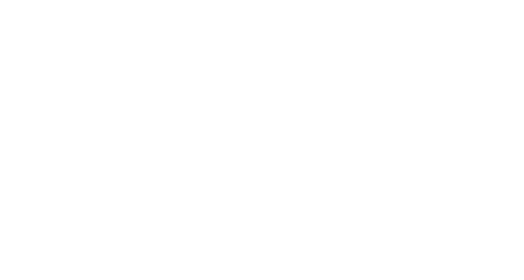 fiorucci