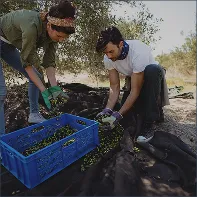 AGRUPACIÓN ÓRDENES COMPRAS