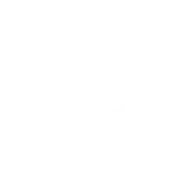 Logo 3INA